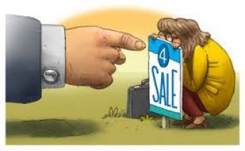 Media & Legal Articles